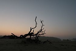 Tak op Hulshorster zand