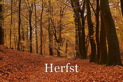herfstkleuren